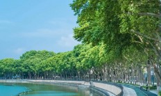 武汉休闲好去处推荐：东湖绿道，尽享自然与亲子互动乐趣
